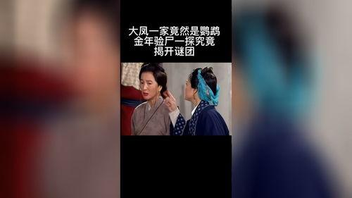 七尸八命,惊悚悬疑，揭开命案背后的惊人真相