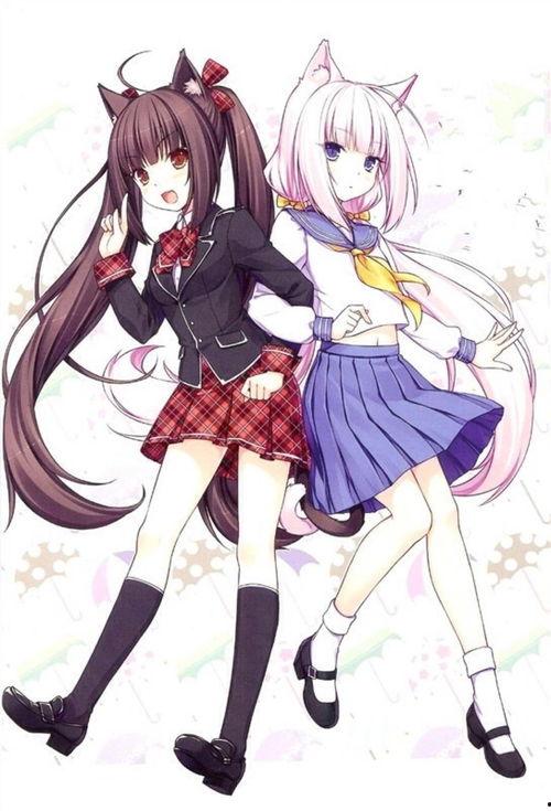 巧克力与香子兰,甜蜜邂逅，探寻香醇背后的传奇故事