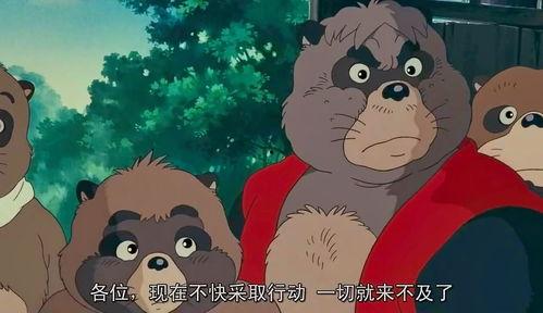 百变狸猫,揭秘神奇动物的多面世界